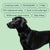 Houndware UltraControl Waterproof Training Collar - alternate view