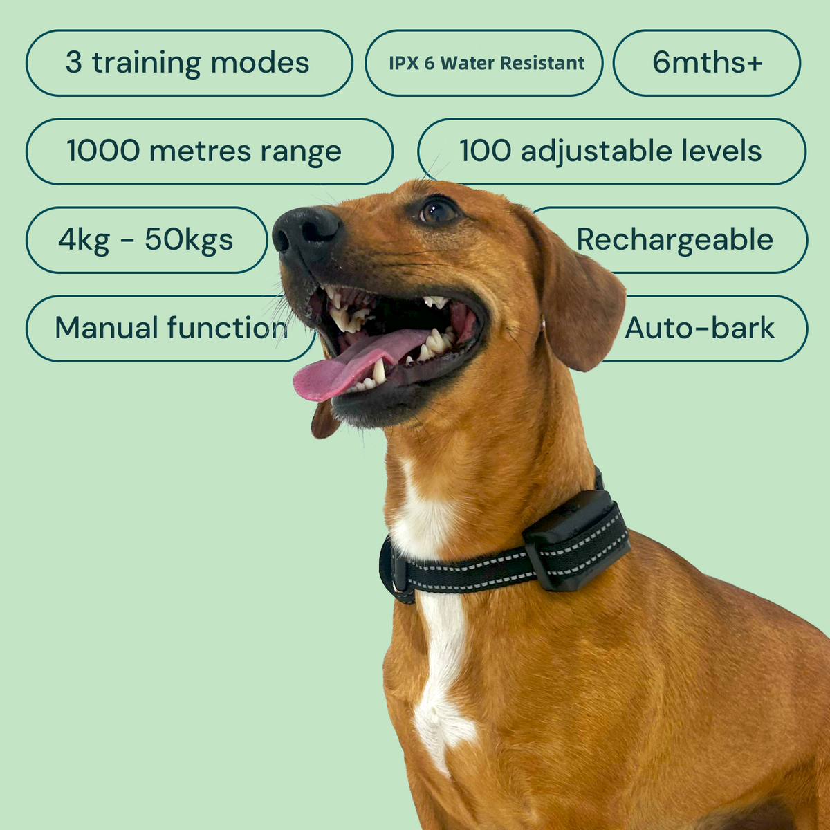 Perfect Dog Command Collar Instructions Bark Collar For Dogs