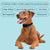 Barktec No-Shock Anti-Bark Collar with Dual Vibration - alternate view