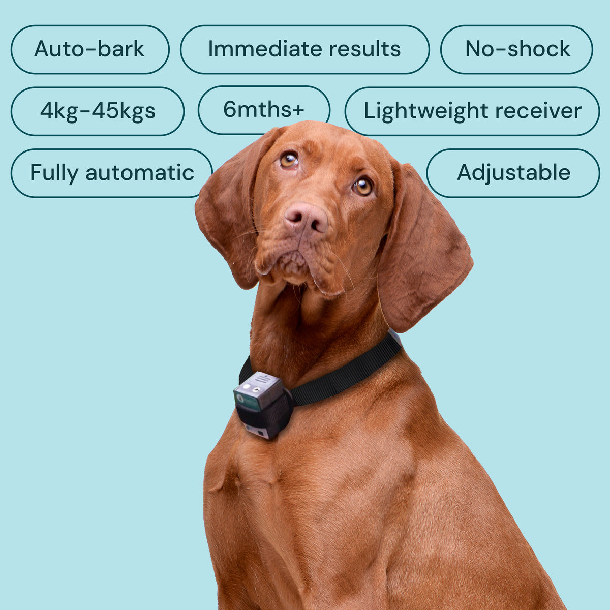 Barktec BT-100 Ultimate Bark Control Kit Citronella Spray Collar