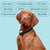 Barktec BT-100 Ultimate Bark Control Kit - Citronella Spray Collar - alternate view