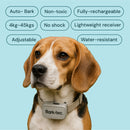 Barktec Rechargeable Sound & Citronella Spray Collar Ultimate Kit