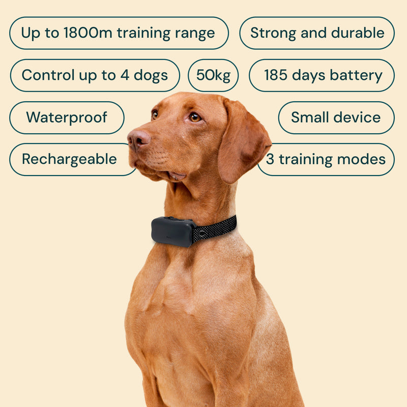 Pro 2-in-1 Wireless Dog Fence Training Kit Houndware eDog