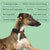 AETERTEK AT-919C Remote Training Collar with Auto-Bark - alternate view