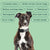 AETERTEK AT-918C Dog Remote Training Collar with Auto-Bark - alternate view