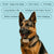Houndware HW01 Automatic & Manual Dog Bark Collar - alternate view