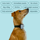 Barktec BT-100 - Citronella Bark Collar with Refill