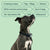 Houndware HW101 Remote Dog Training Collar - alternate view