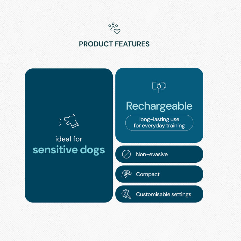 Anti-Bark & Training Bundle for Sensitive Dogs