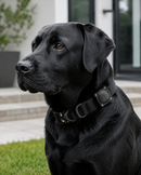 Fred Pro Pet Tracker