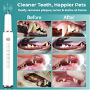 Pet Dental Plaque Remover Ultrasonic Cleaning Kit