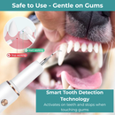 Pet Dental Plaque Remover Ultrasonic Cleaning Kit