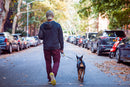 Barktec AutoBrake Retractable Dog Leash