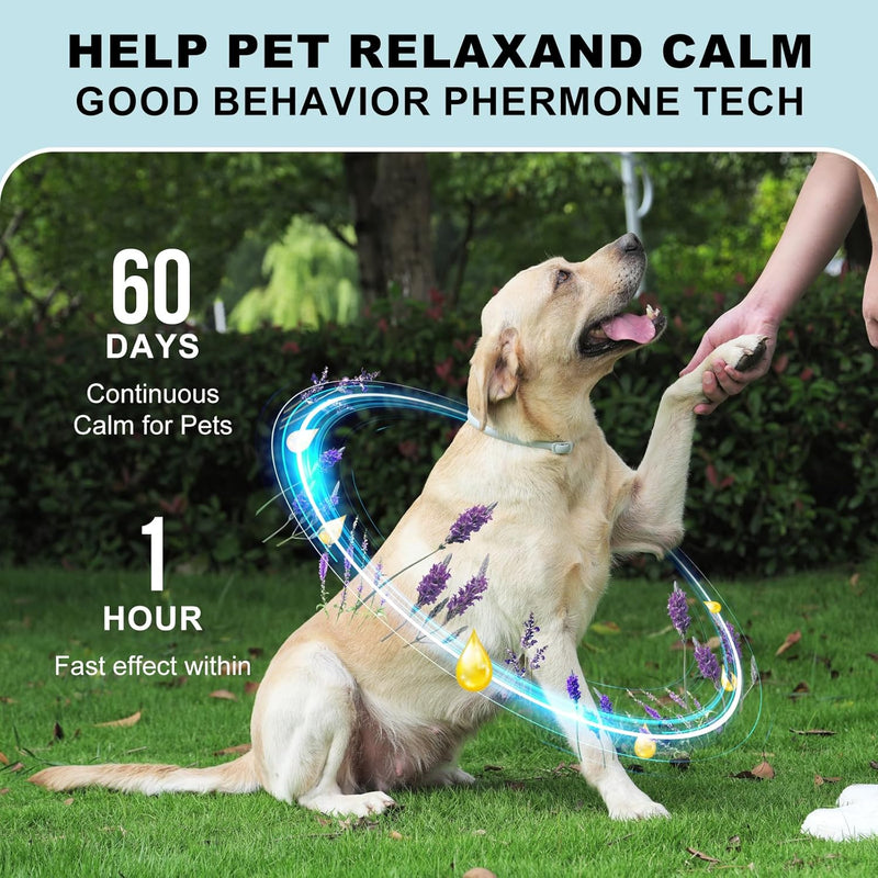 Purple Dog Anxiety Calming Collar - 2 pack