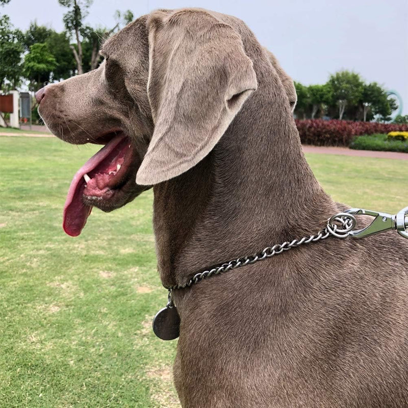 Large dog chain collar sales