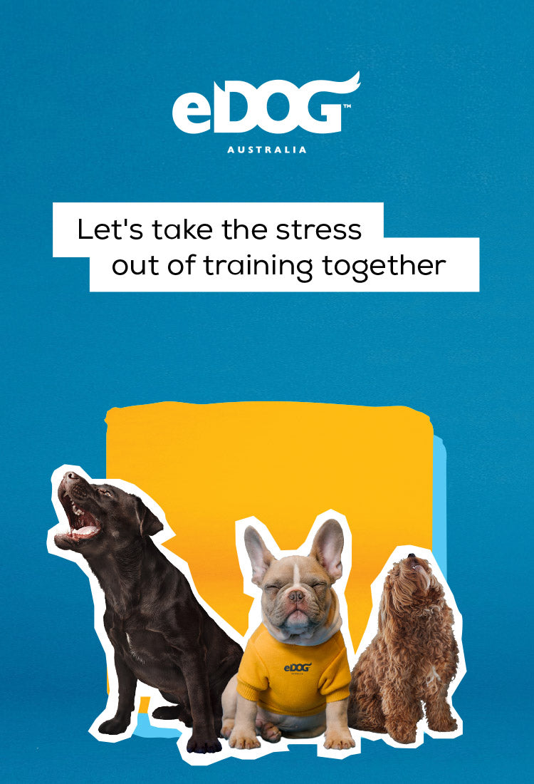 Let's take the stress out of training together