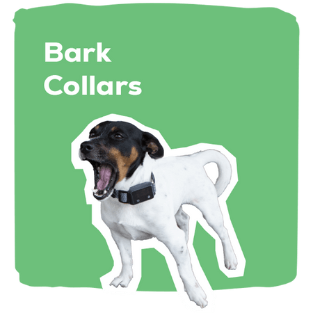 Bark Collars