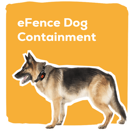 eFence Dog Containment