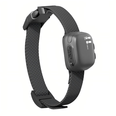 Smart No-Shock Bark Collar for Small Dogs