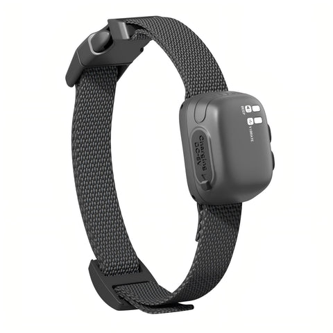 Smart No-Shock Bark Collar for Small Dogs