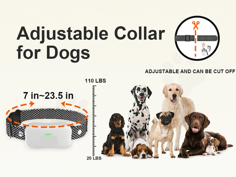 Houndware BoundWise Pro - 2-in-1 Wireless Dog Fence & Training Kit