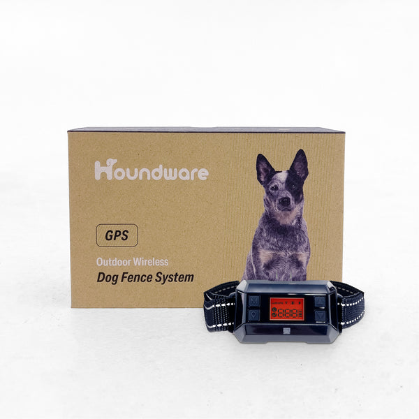 Best Wireless Dog Fence 2025: Top Safe & Reliable Picks