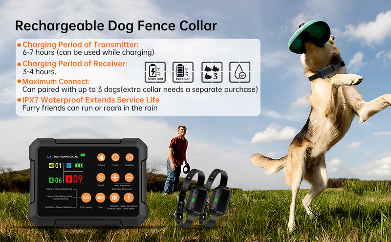 Houndware 3-in-1 Training Kit with Wireless Outdoor & Indoor Fence