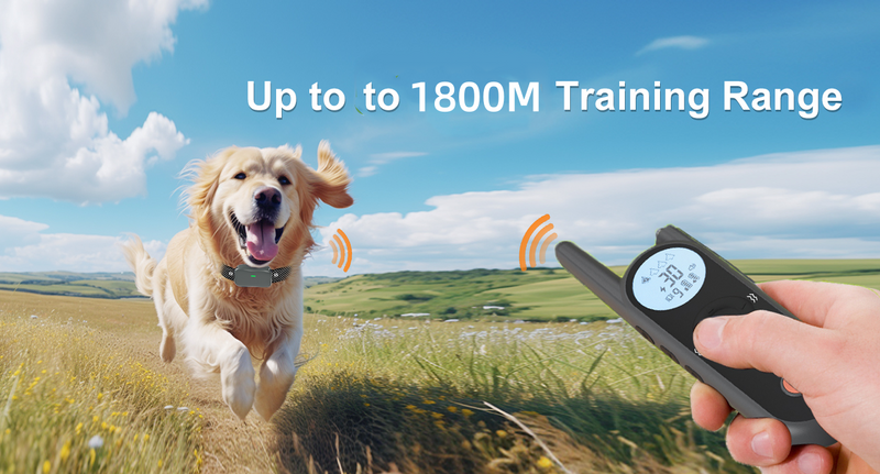 Houndware BoundWise Pro - 2-in-1 Wireless Dog Fence & Training Kit