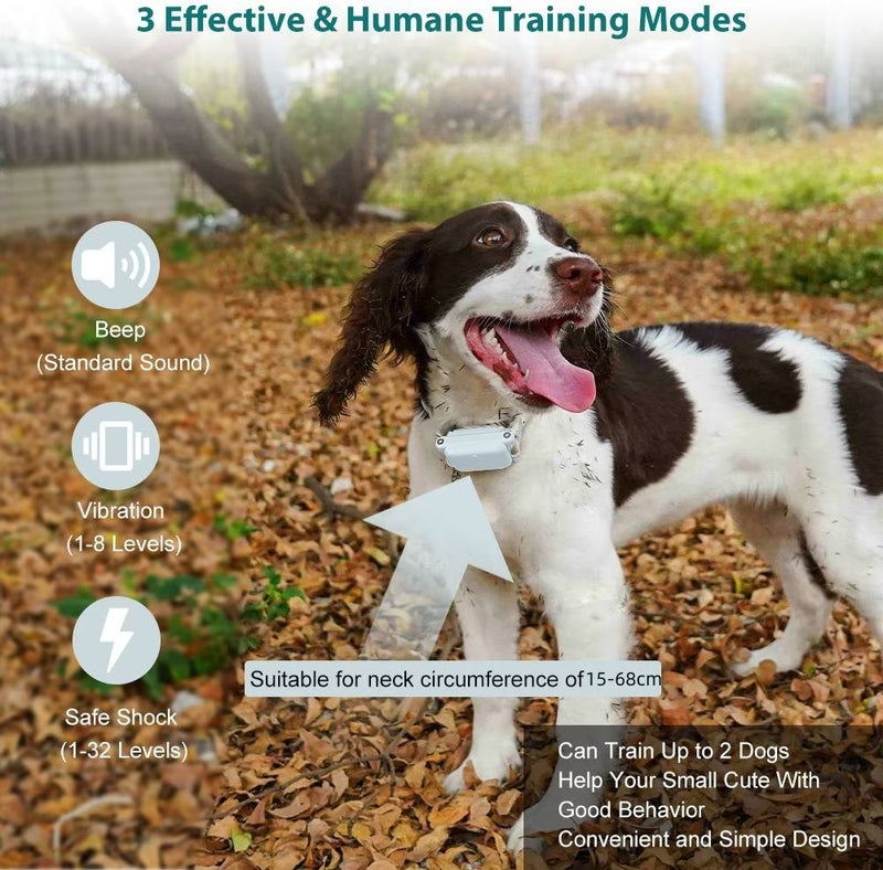 Houndware HW601 Mini Rechargeable Remote Training Collar