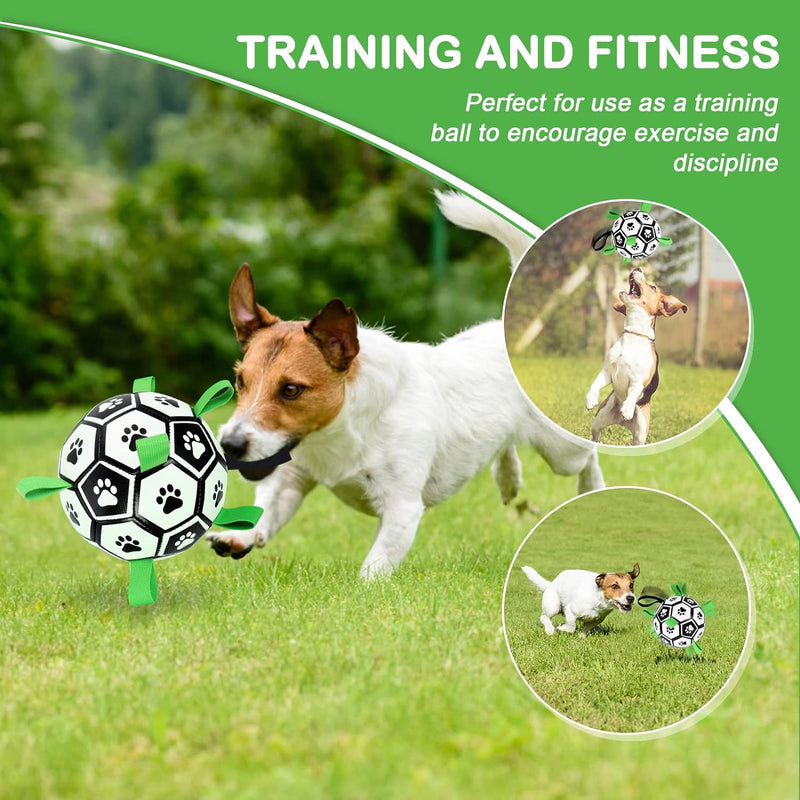Dog soccer ball good for training and fitness