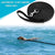 dog swimming with the black leash - alternate view