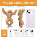 Muscle dog ultra-durable chew toy sizes