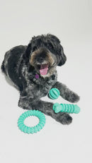 Dog happily playing with the Rubber Dental Dog Ring Toy on grass, illustrating its suitability for outdoor fun and exercise
