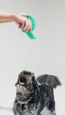 Medium-sized dog happily chewing on a dental toy from the K9 Bundle in a grassy yard - Encourages healthy chewing habits