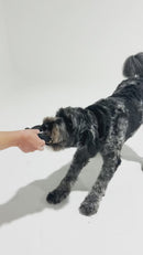 Strong Durable Cage Ball placed on grass in an outdoor setting, showcasing its suitability for both indoor and outdoor play