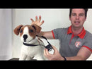 dog citronella refill spray instruction video