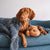 Snuggle Puppy ™ Dog Toy With Heart Beat and Heat Pad (Biscuit) - alternate view