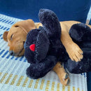 Snuggle Puppy ™ Dog Toy With Heart Beat and Heat Pad (Black)