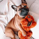 Dog hugging the Snuggle Puppy™ Dog Toy 