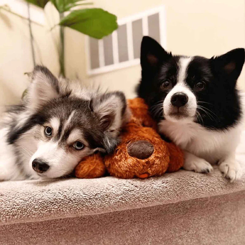 Dogs getting cozy with snuggle puppy