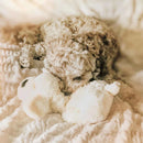 Snuggle Puppy™ Dog Toy placed in a dog bed - Ideal for creating a calming environment for dogs at home