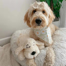 Snuggle Puppy™ Dog Toy placed in a dog bed - Ideal for creating a calming environment for dogs at home