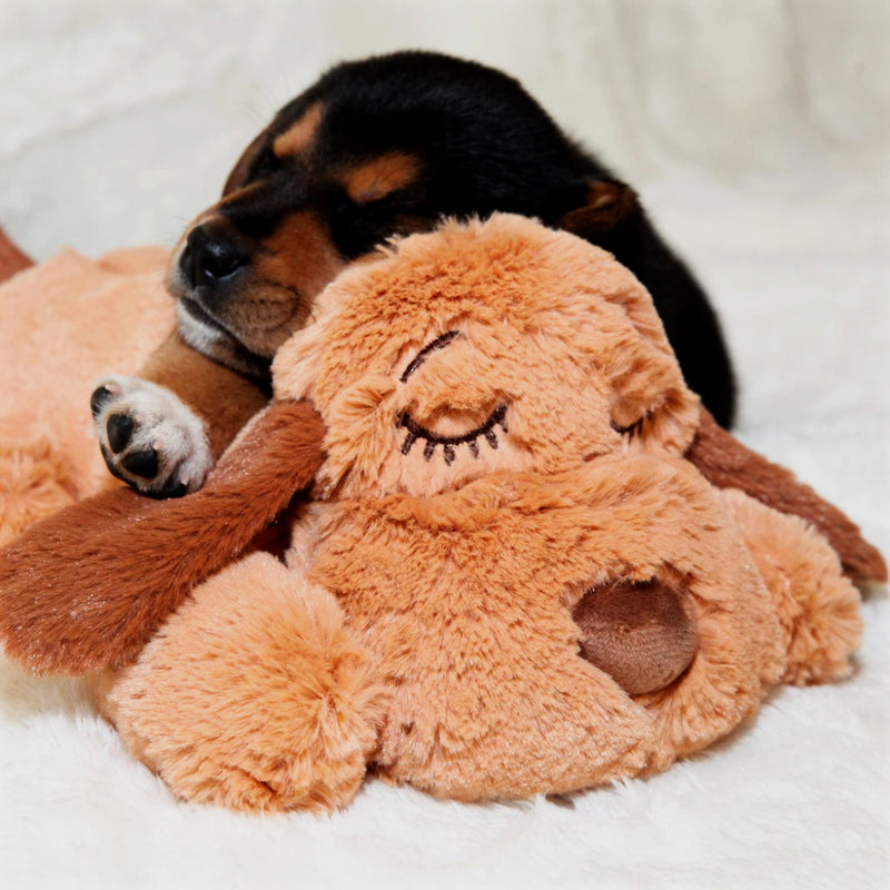 brown dog snuggling the snuggle puppy