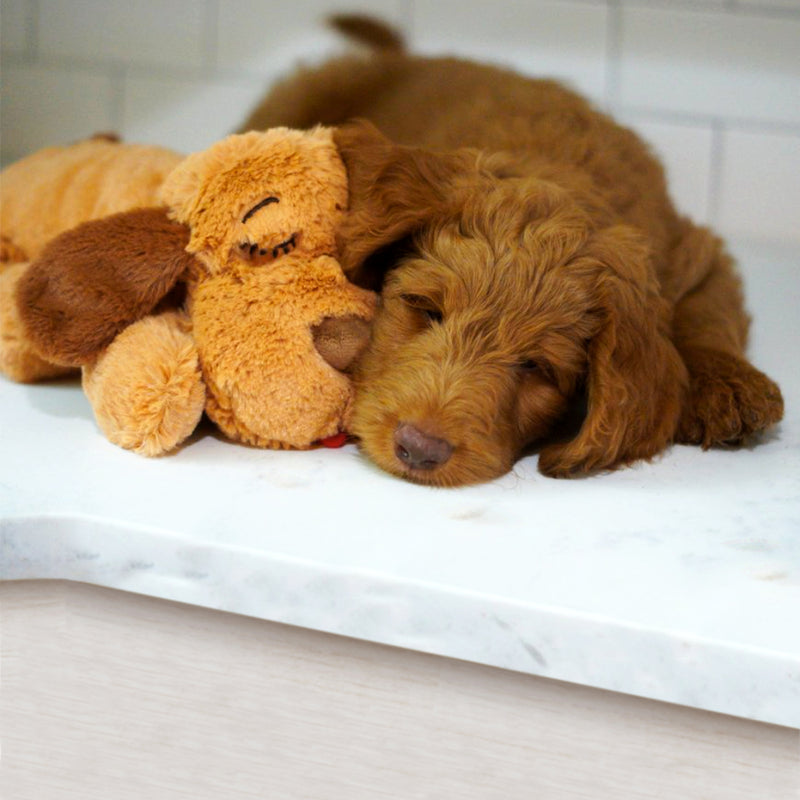 brown dog snuggling the snuggle puppy