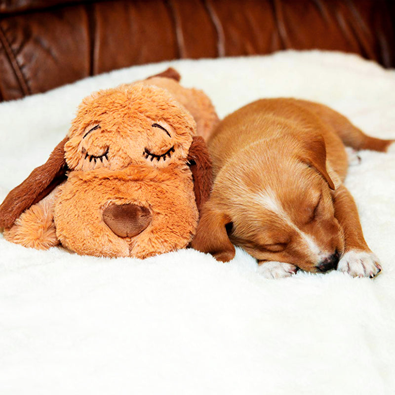 brown Snuggle Puppy toy next to brown puppy