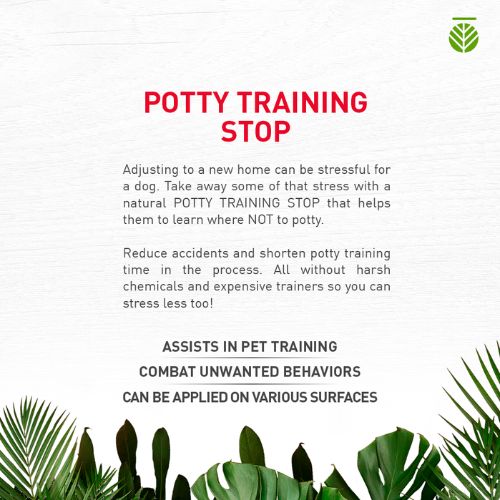 Amazonia Potty Training Stop Spray for Dogs features and benefits