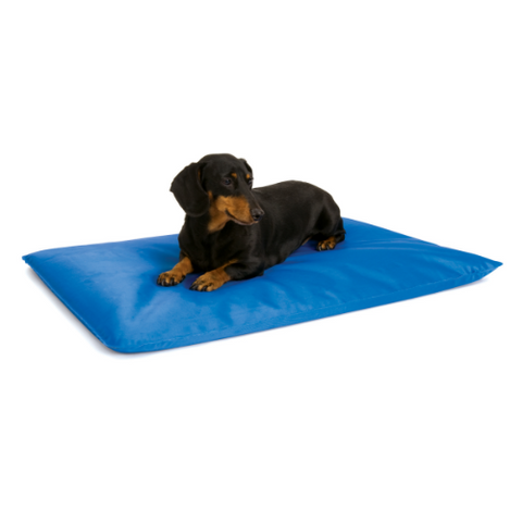 Cool dog beds shop australia