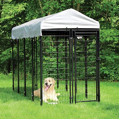 Dog enclosure set up, showing dog inside
