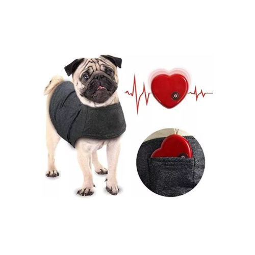 Pug wearing Dog Anxiety Vest with Heartbeat showing heartbeat action