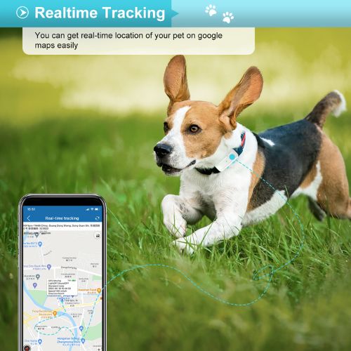 4G GPS Dog Tracker - Realtime tracking Benefit